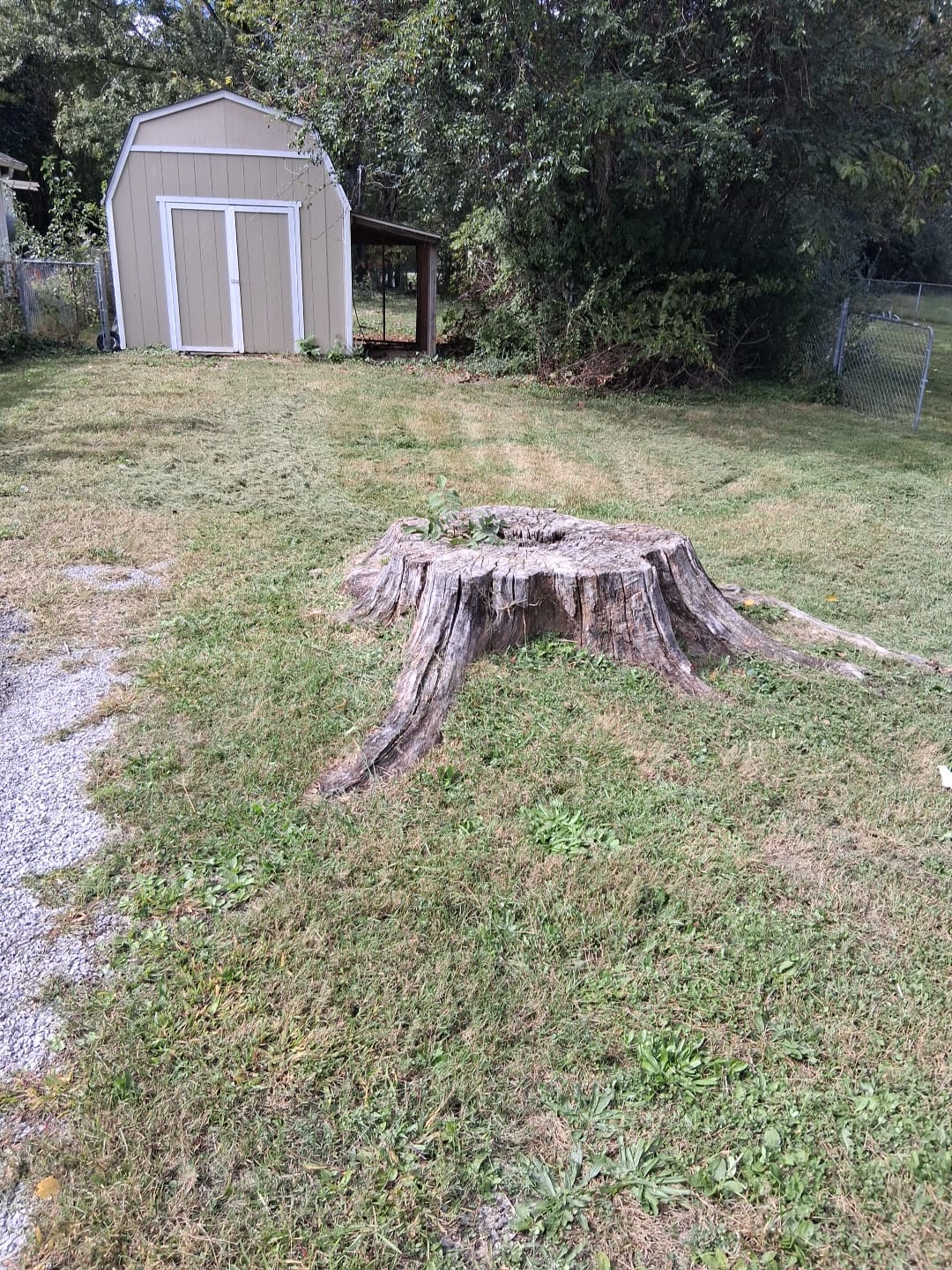 Home landscape work 11