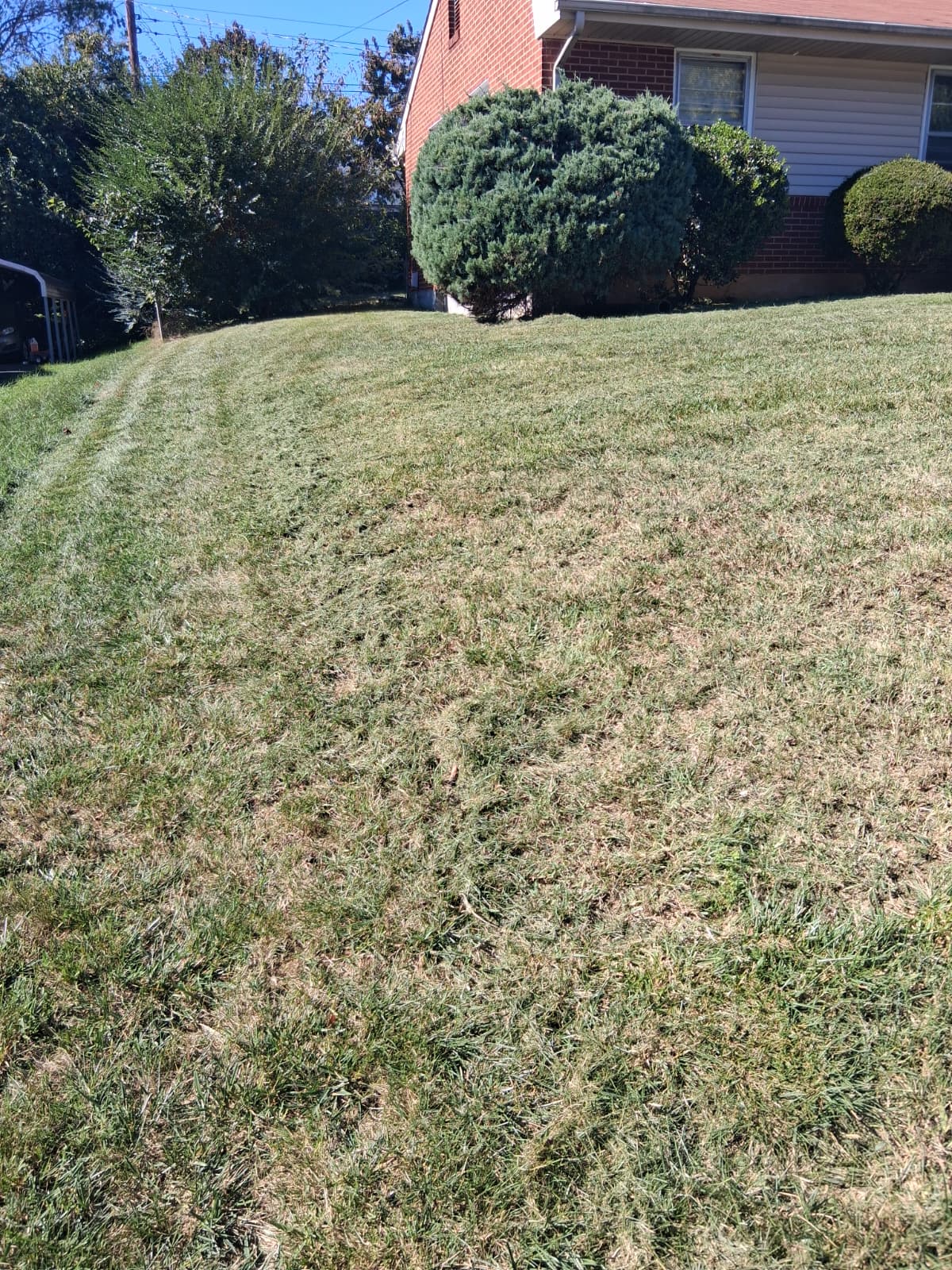 Home landscape work 13