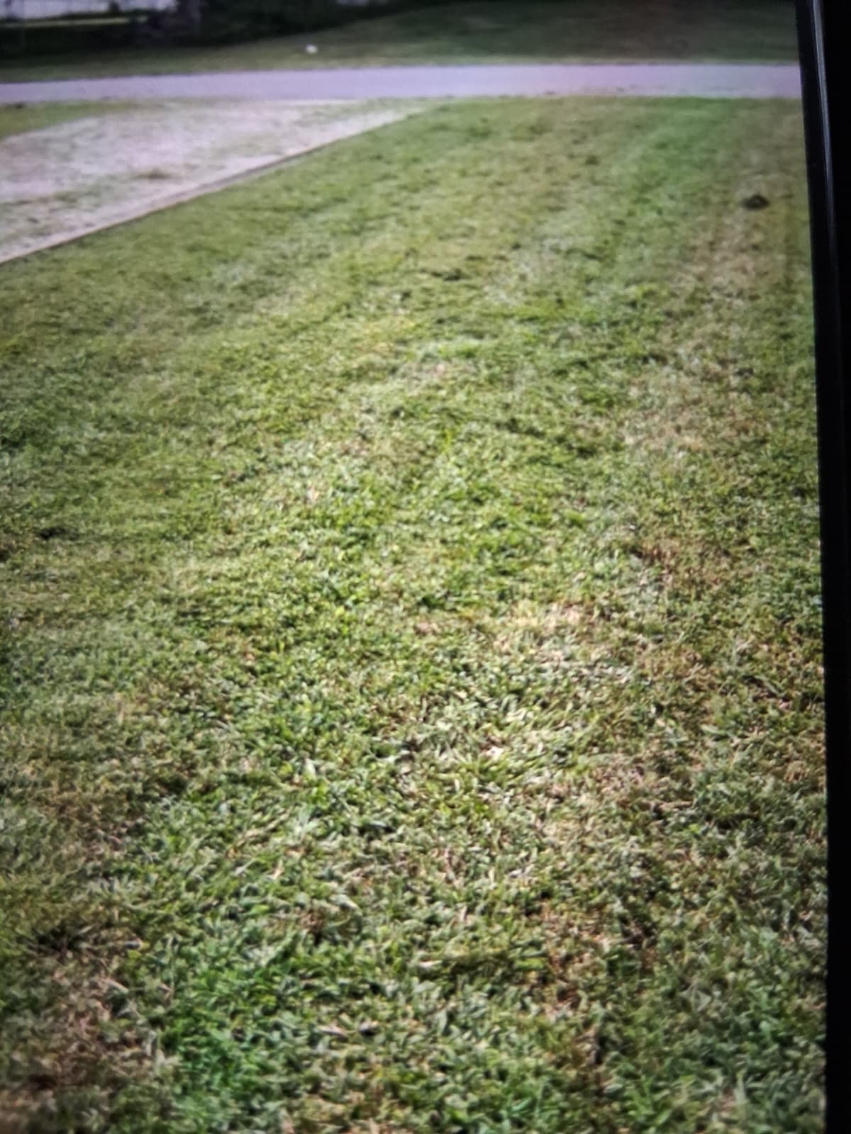 Home landscape work 2