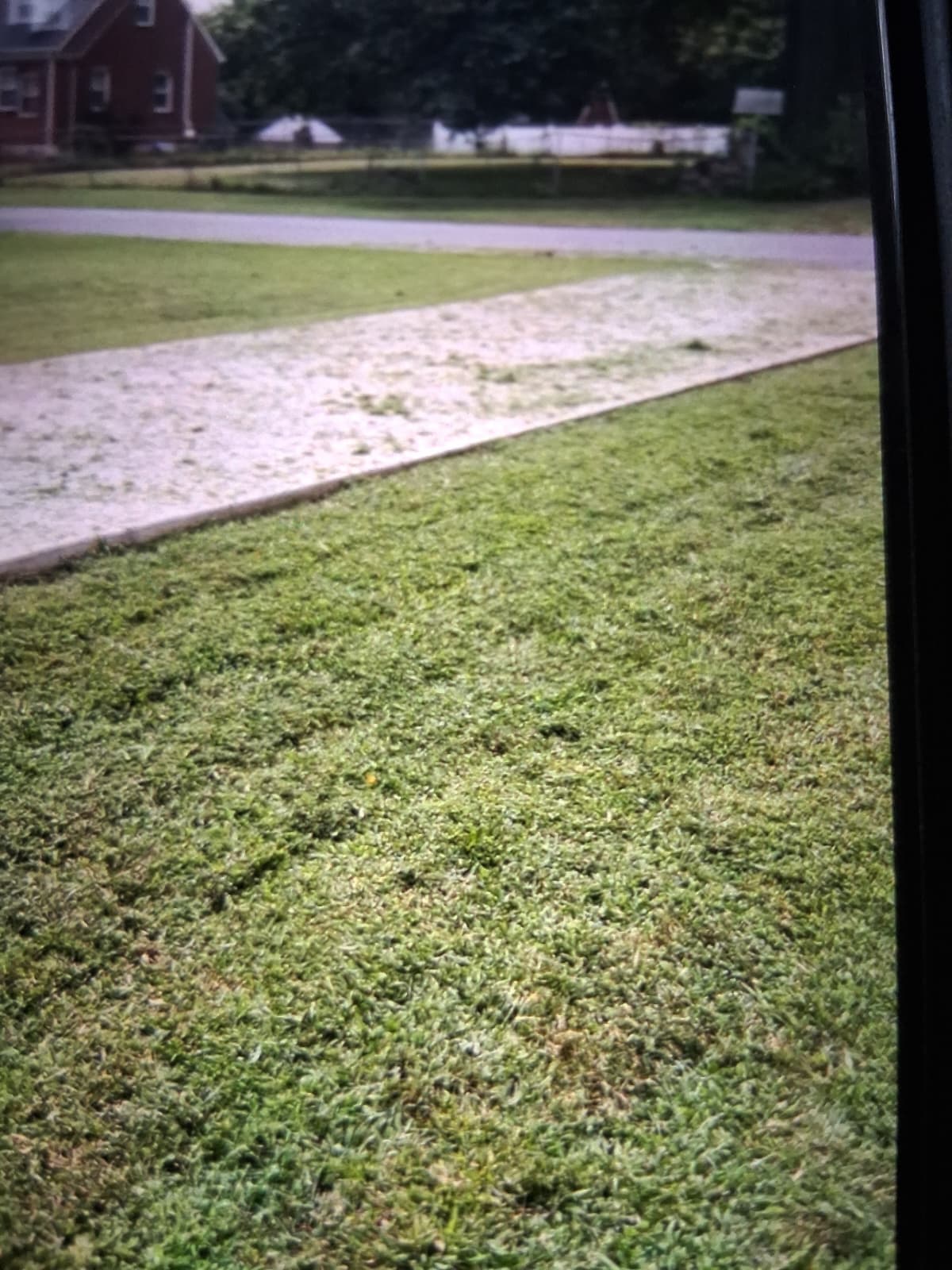 Home landscape work 3